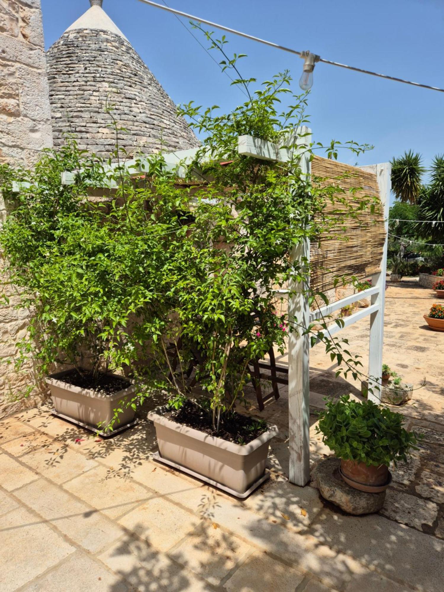 Il Trullo Di Nonna Lella Guest House Castellana Grotte Exterior photo