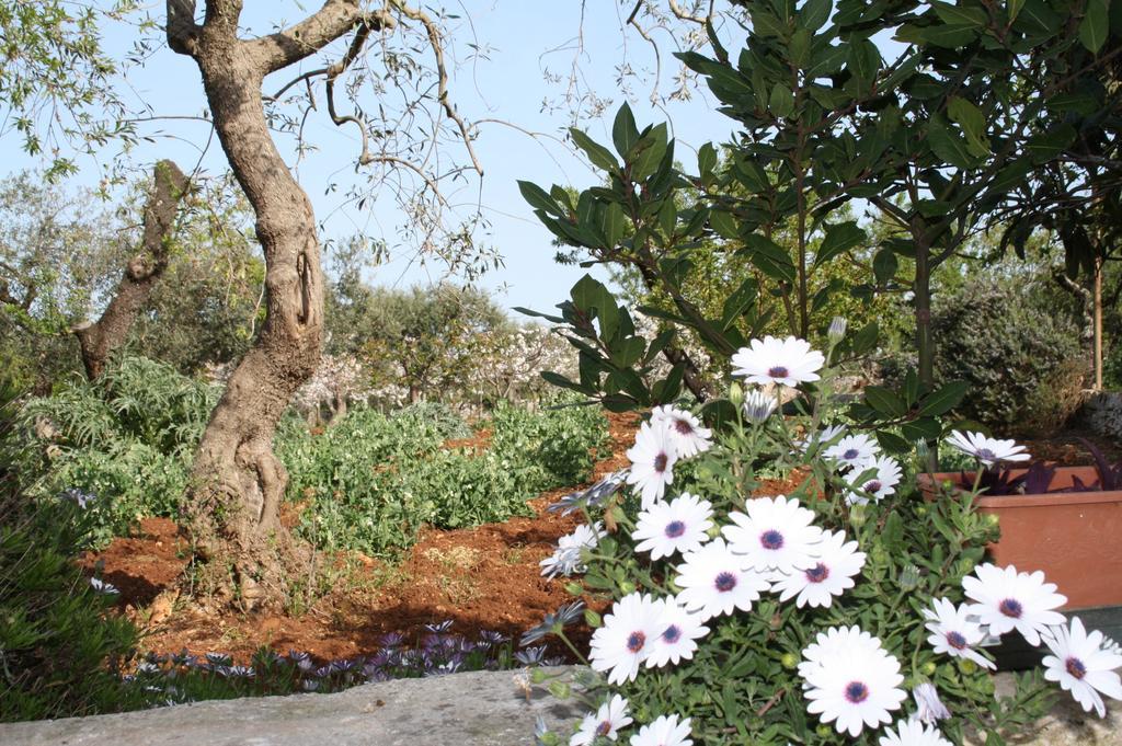 Il Trullo Di Nonna Lella Guest House Castellana Grotte Exterior photo