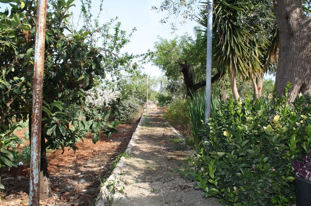 Il Trullo Di Nonna Lella Guest House Castellana Grotte Exterior photo