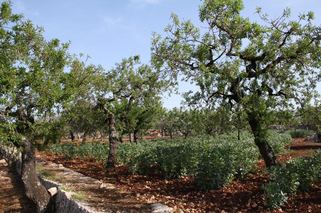 Il Trullo Di Nonna Lella Guest House Castellana Grotte Exterior photo